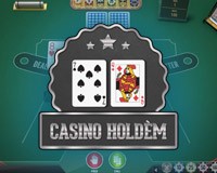 Microgaming - игровой автомат онлайн от Various с RTP 97.6%